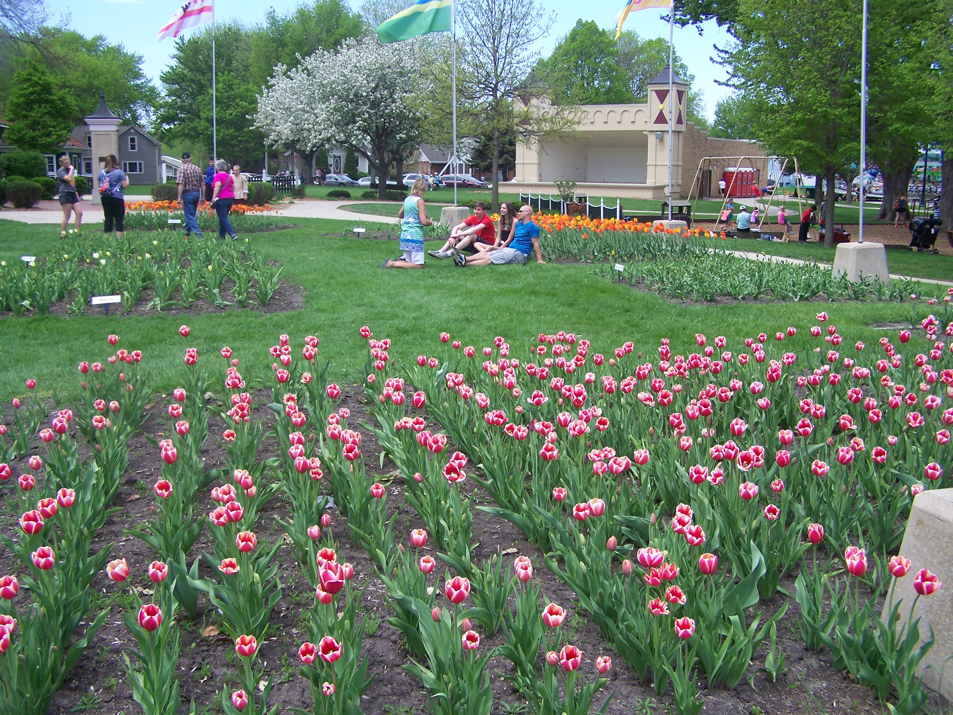 Looking Back At The 2019 Orange City Tulip Festival - KLEM 1410