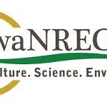 Nitrogen Logo
