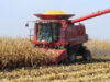 Iowa Grain Harvest Webinar